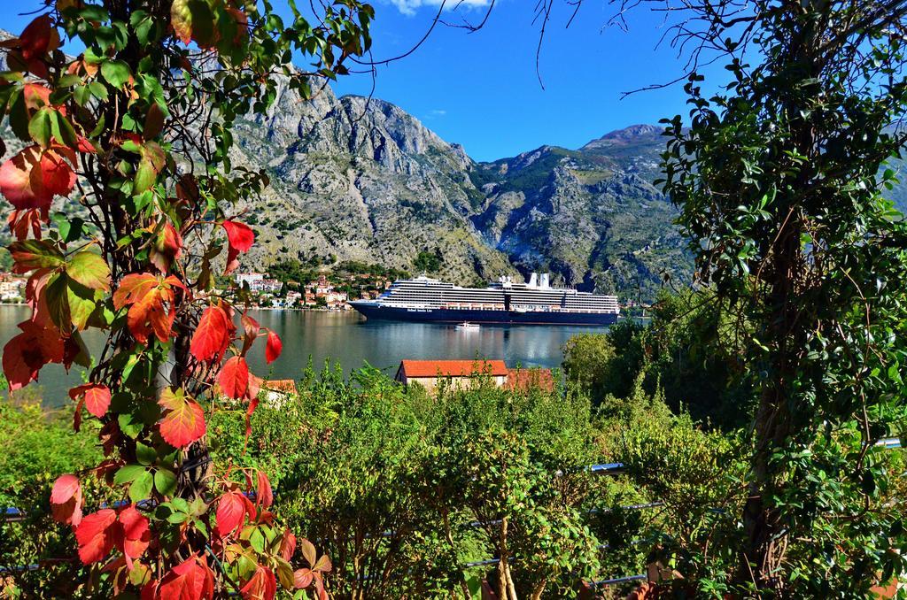 Muo Kotor